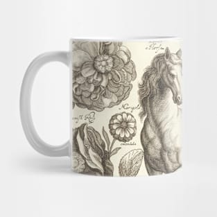 Horse Flower Vintage Illustration Mug